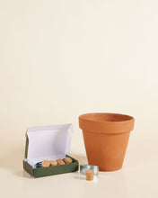 Carica l'immagine nel visualizzatore di Gallery, Clippy - Wall Mounting Kit - Root Houseplants