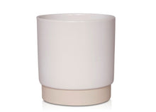 Carica l'immagine nel visualizzatore di Gallery, Eno Pot - Root Houseplants