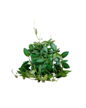 Carica l'immagine nel visualizzatore di Gallery, MM-MEC-1307 - 0