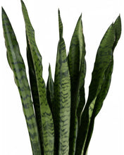 Afbeelding in Gallery-weergave laden, MM-MEC-1381 - 1