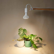 Afbeelding in Gallery-weergave laden, Stelo Gooseneck Clip-On Bulb Holder - Root Houseplants