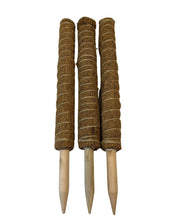 Lade das Bild in den Galerie-Viewer, Coco-coir pole - Root Houseplants