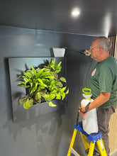 Afbeelding in Gallery-weergave laden, Living Picture Frame - Root Houseplants