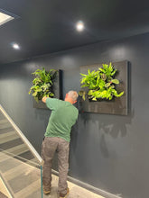 Afbeelding in Gallery-weergave laden, Living Picture Frame - Root Houseplants