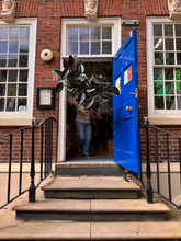 Charger l'image dans la galerie, Large Ficus Abidjan on shop steps, hand-delivered and installed in the UK.
