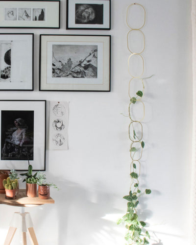 Brass Chain Plant Support - Root Houseplants