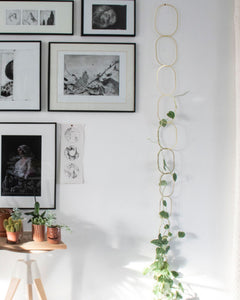 Brass Chain Plant Support - Root Houseplants