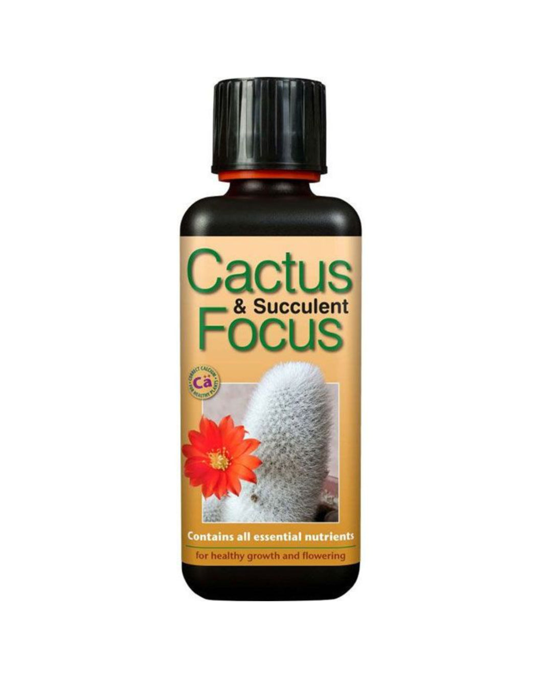 Cactus & Succulent Focus - Fertilser - Root Houseplants