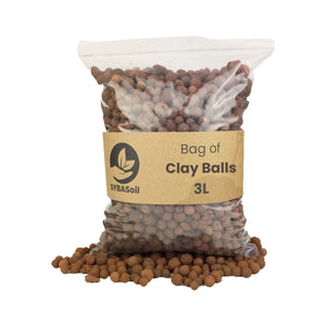 Clay Pebbles - Root Houseplants