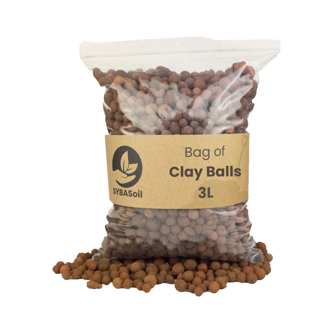 Clay Pebbles - Root Houseplants