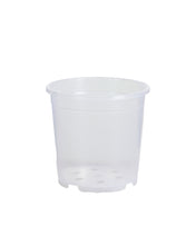 Charger l&#39;image dans la galerie, Clear Nursery Pot - Root Houseplants
