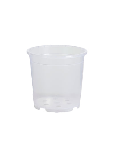 Clear Nursery Pot - Root Houseplants