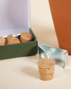 Clippy - Wall Mounting Kit - Root Houseplants