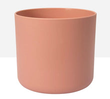 Load image into Gallery viewer, elho B.For Soft Round - Root Houseplants
