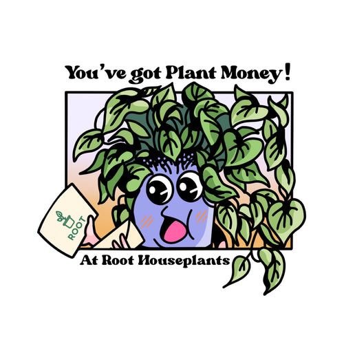 Gift Voucher - Root Houseplants
