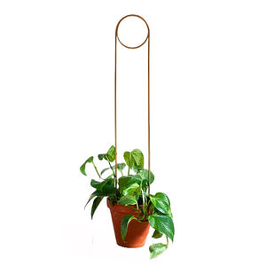 Golden Plant Stakes - Root Houseplants