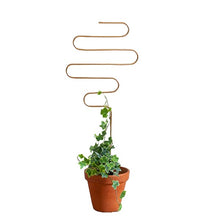 Load image into Gallery viewer, Golden Plant Stakes - Root Houseplants
