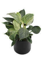 Charger l&#39;image dans la galerie, Lisbon planter - Root Houseplants
