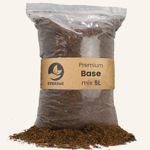 Potting Mix - Root Houseplants