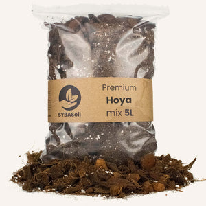Potting Mix - Root Houseplants