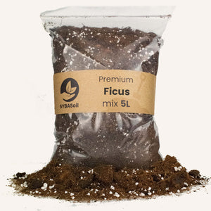 Potting Mix - Root Houseplants