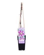 Load image into Gallery viewer, Clematis &#39;Piilu&#39;
