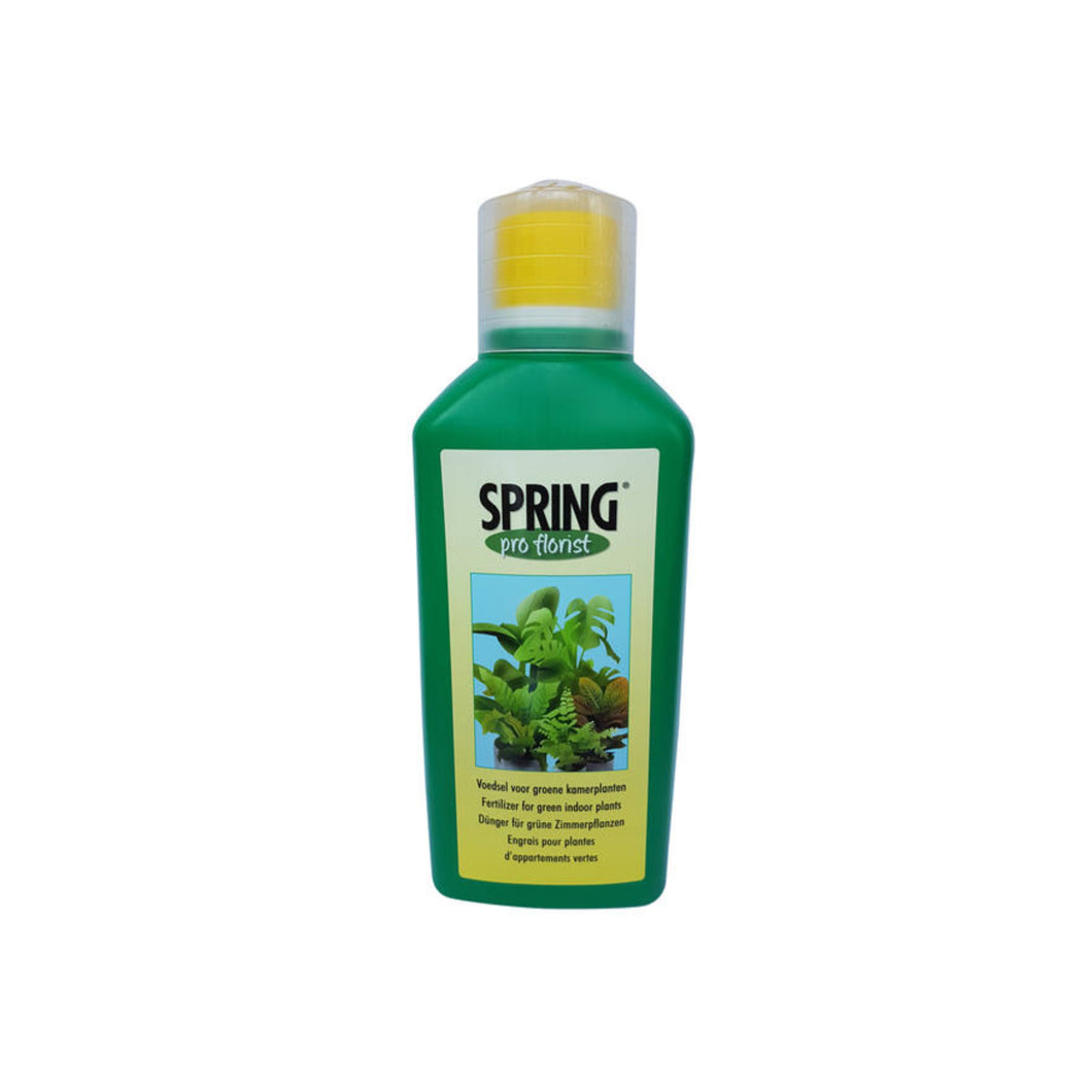 Spring Houseplant Food - Root Houseplants