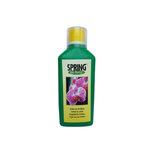 Spring Orchid Food - Root Houseplants