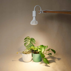 Stelo Gooseneck Clip-On Bulb Holder - Root Houseplants
