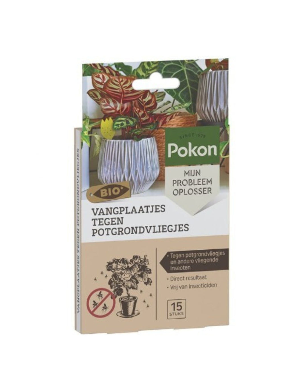 Sticky Bio Traps for Fungus Gnats - Root Houseplants