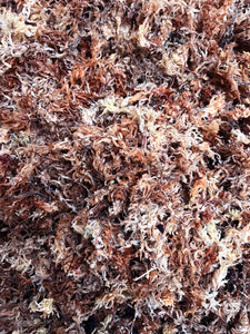 Premium New Zealand Sphagnum Moss