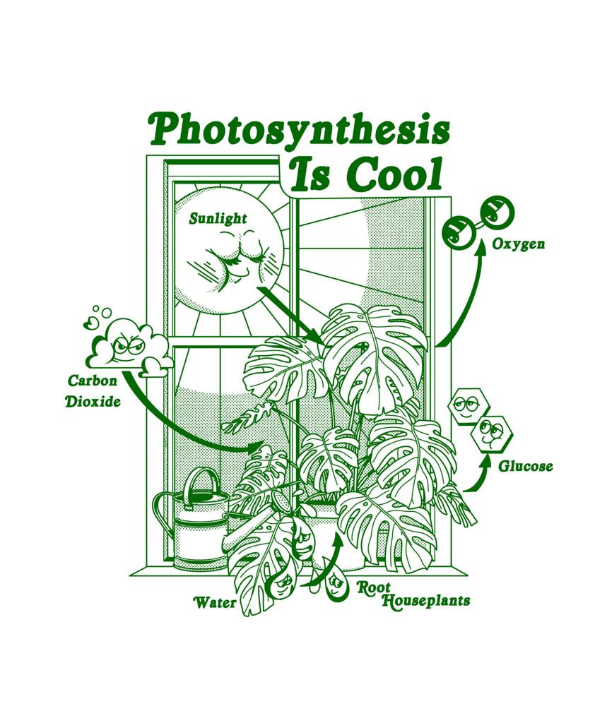 Photosynthesis is Cool Poster