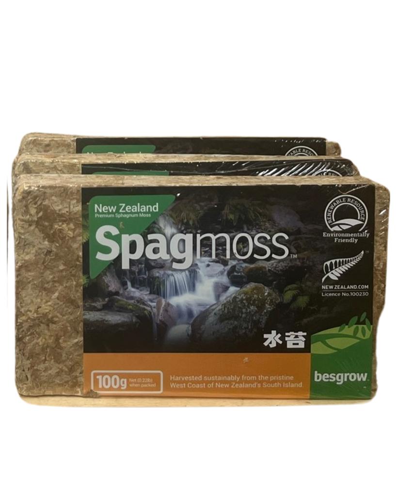 Premium New Zealand Sphagnum Moss