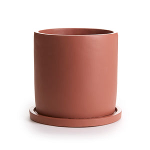 Anther + Moss Ceramics - Root Houseplants
