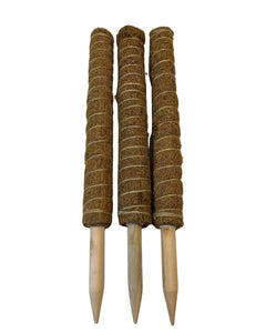 Coco-coir pole - Root Houseplants
