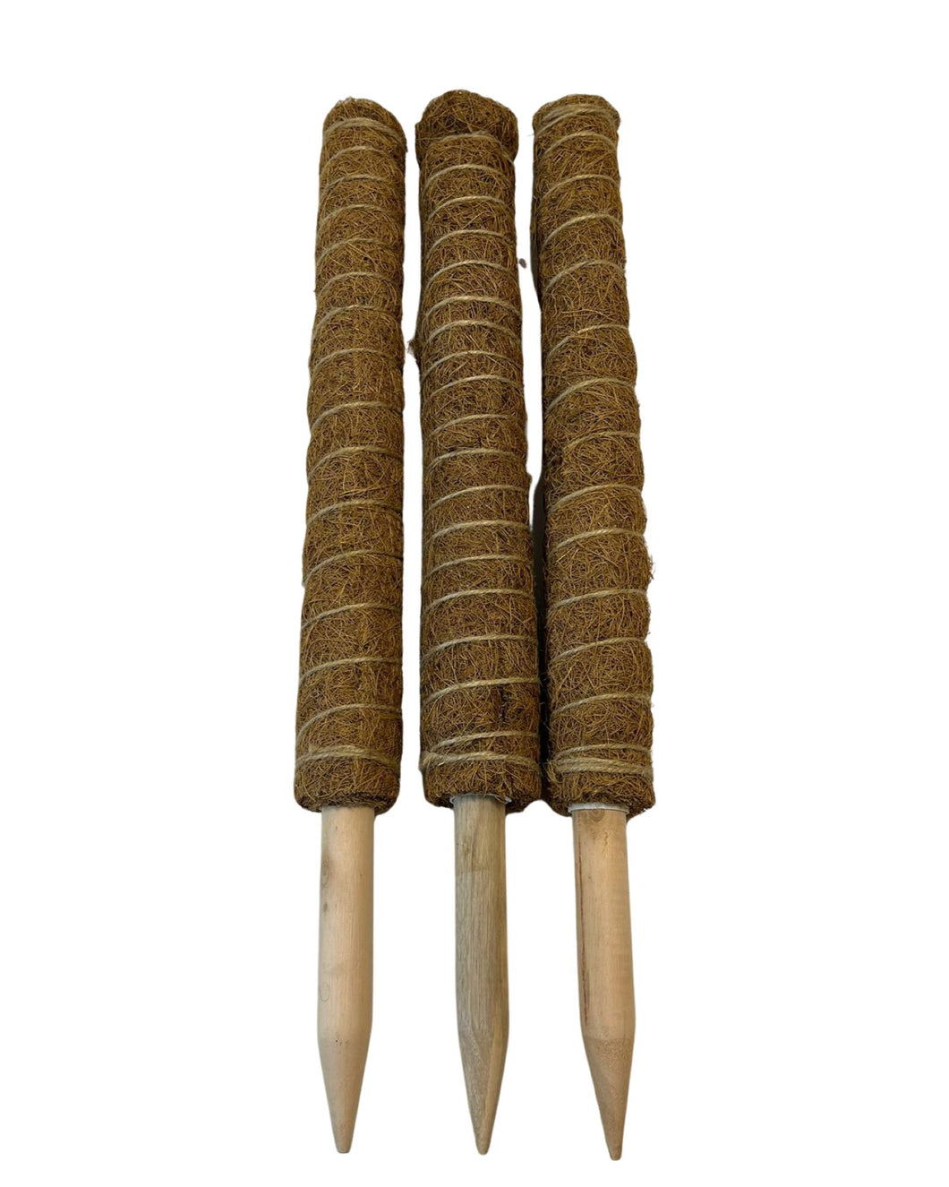 Coco-coir pole - Root Houseplants