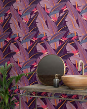 Lade das Bild in den Galerie-Viewer, Howea forsteriana - Kentia Palm - Root Houseplants
