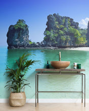 Lade das Bild in den Galerie-Viewer, Howea forsteriana - Kentia Palm - Root Houseplants
