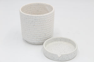 Luna Pot and Saucer - Root Houseplants