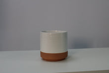 Lade das Bild in den Galerie-Viewer, Milou - Root Houseplants
