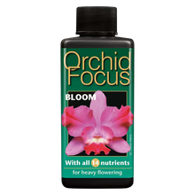Lade das Bild in den Galerie-Viewer, Orchid Focus Bloom - Root Houseplants
