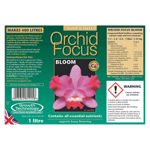 Orchid Focus Bloom - Root Houseplants