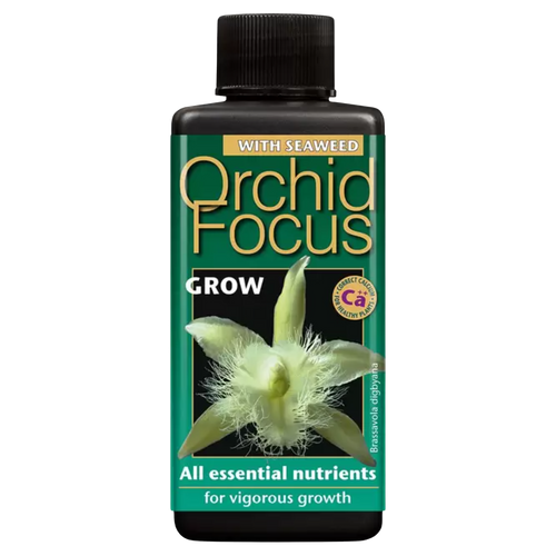 Orchid Focus Grow - Root Houseplants