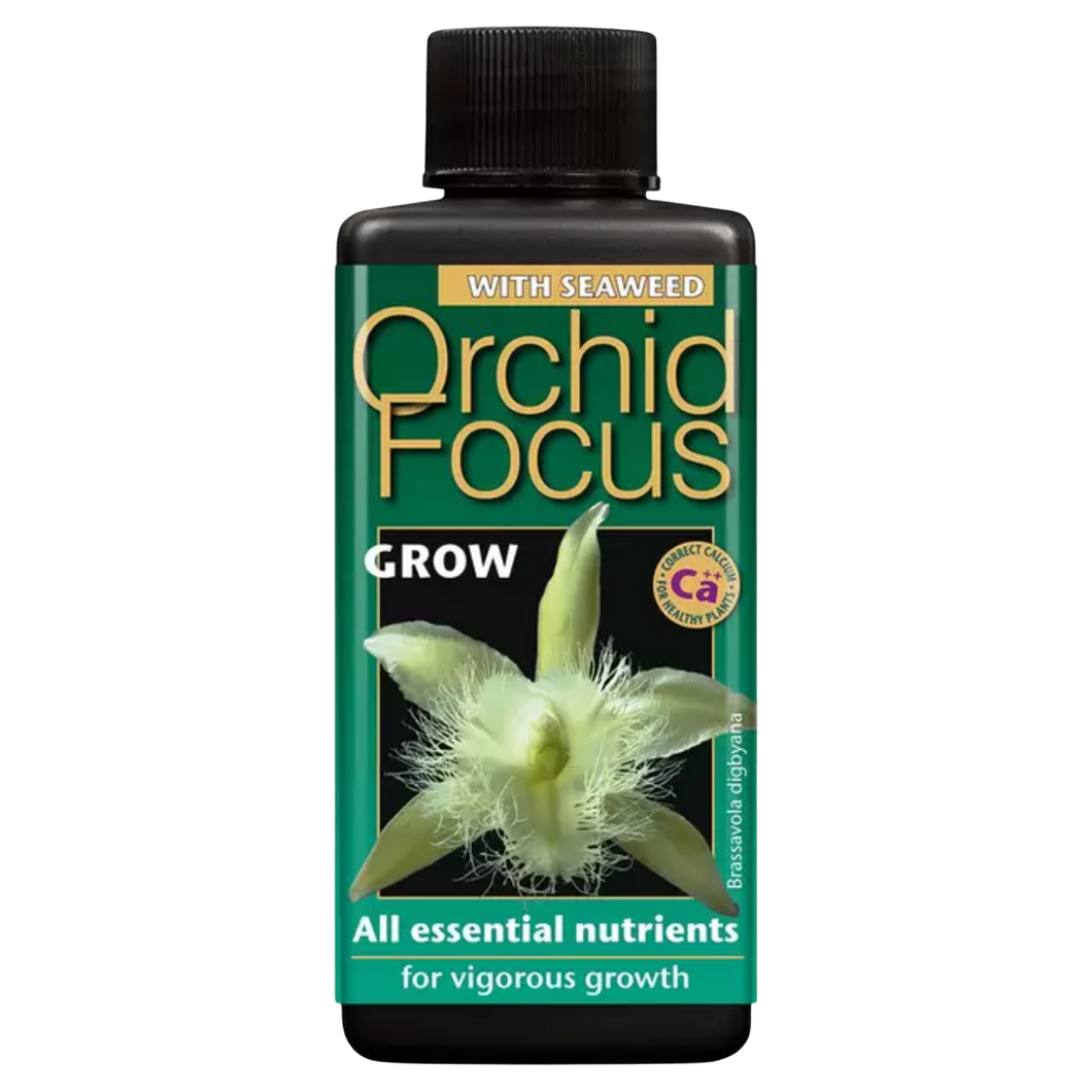 Orchid Focus Grow - Root Houseplants