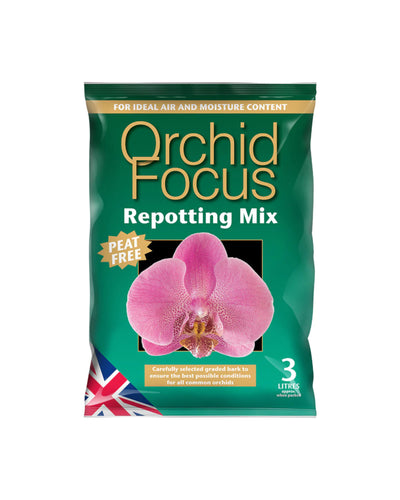 Orchid Focus - Repotting mix - Root Houseplants