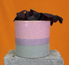 Load image into Gallery viewer, Pink striped - Root Houseplants
