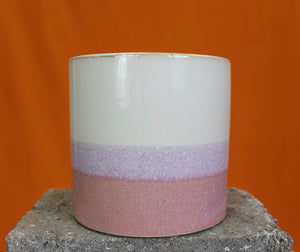 Pink striped - Root Houseplants