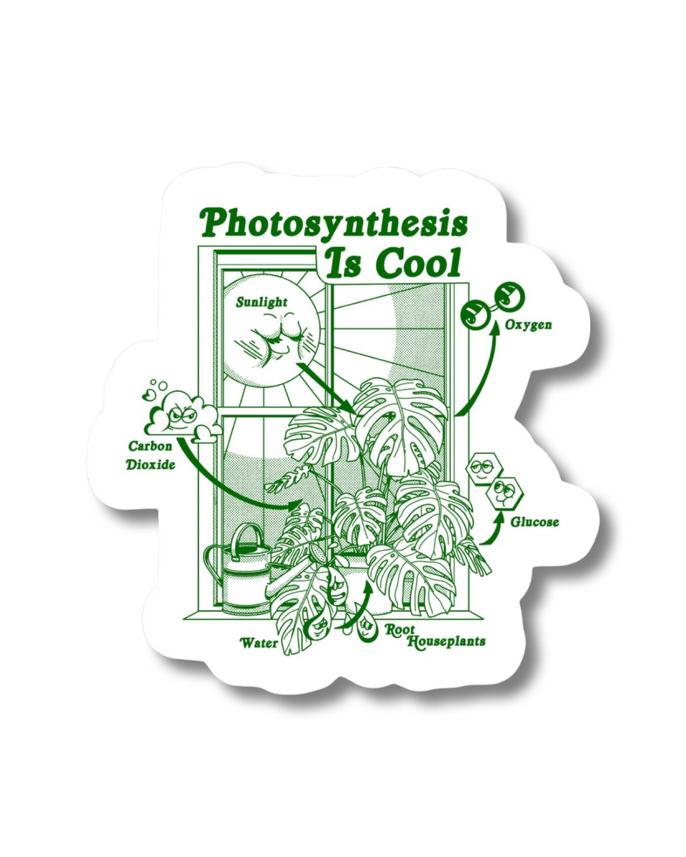 Plant Stickers - Root Houseplants