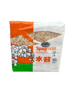Premium New Zealand Sphagnum Moss - Root Houseplants