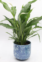 Lade das Bild in den Galerie-Viewer, Reactive Glaze Pot - Root Houseplants
